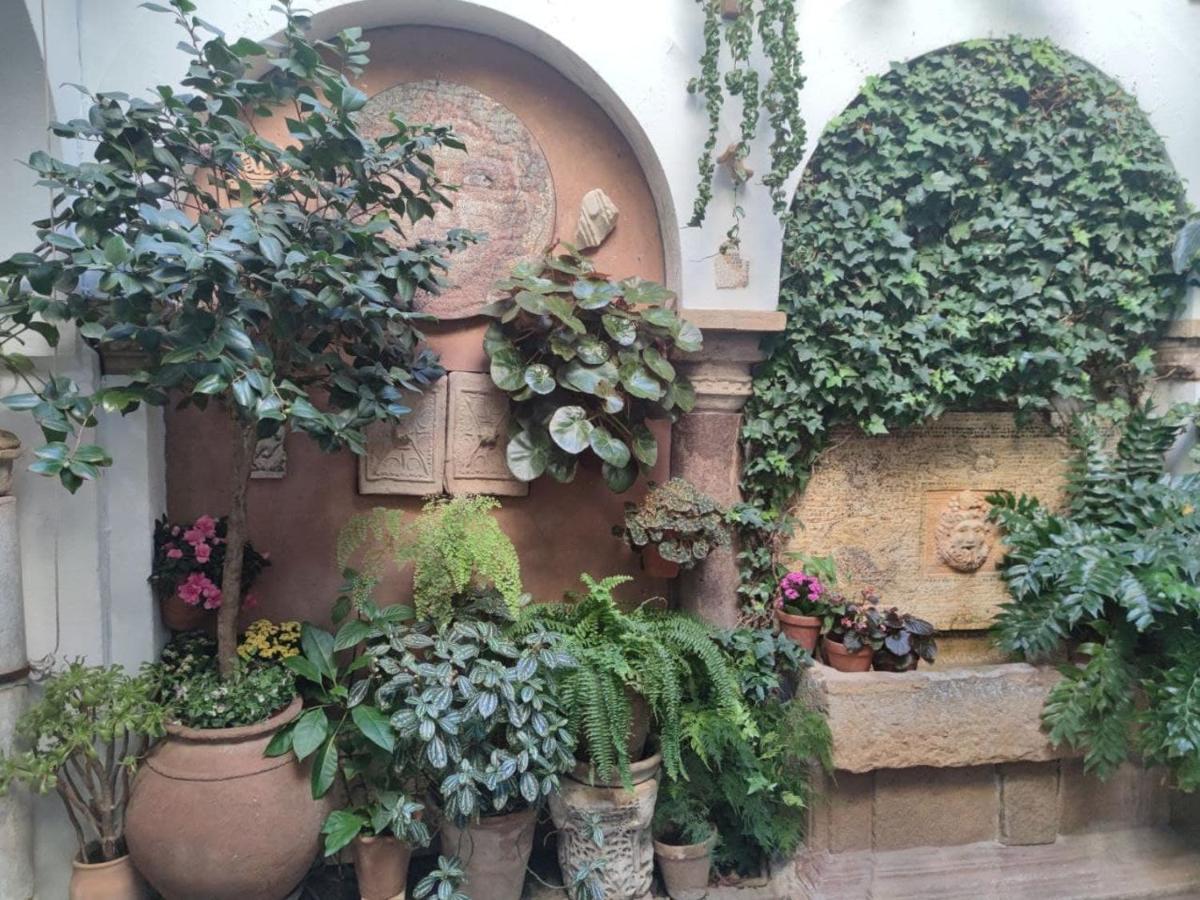 El Capricho De San Fernando, Consigna Gratis Y Parking A 200Mts Apartment Córdoba Exterior foto