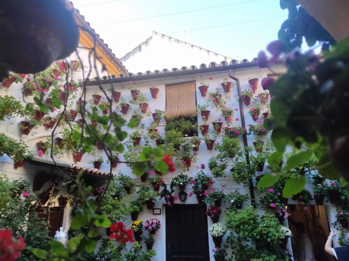 El Capricho De San Fernando, Consigna Gratis Y Parking A 200Mts Apartment Córdoba Exterior foto
