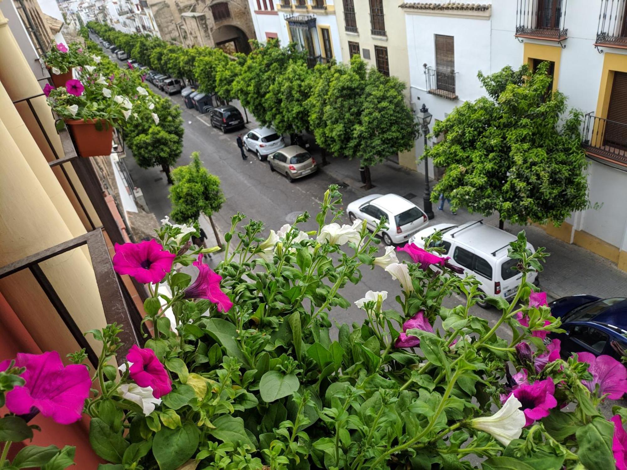 El Capricho De San Fernando, Consigna Gratis Y Parking A 200Mts Apartment Córdoba Exterior foto